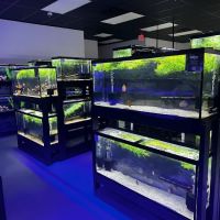 Natural Environment Aquatix ico