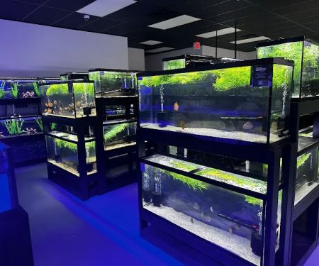 Natural Environment Aquatix
