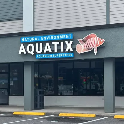 Natural Environment Aquatix Picture 2