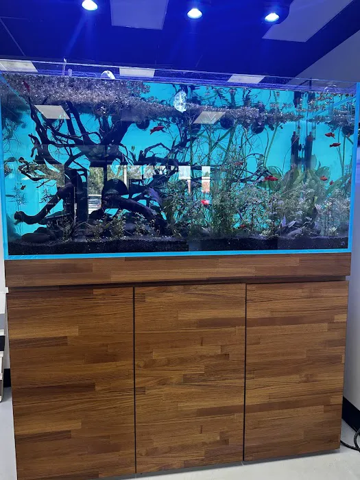 Natural Environment Aquatix Picture 6