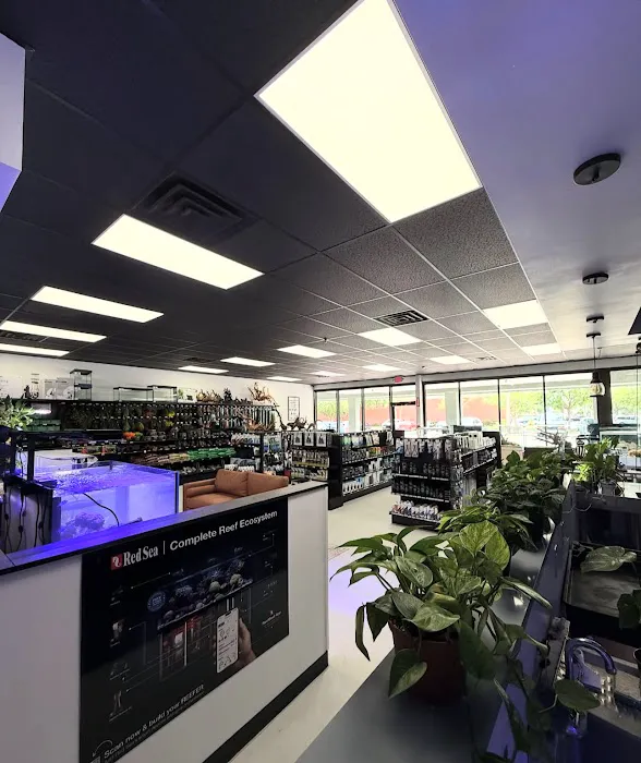 Natural Environment Aquatix Picture 4