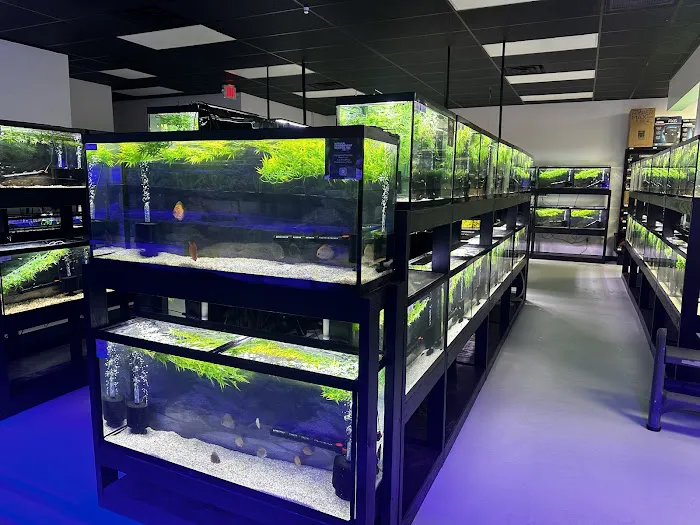 Natural Environment Aquatix Picture 7