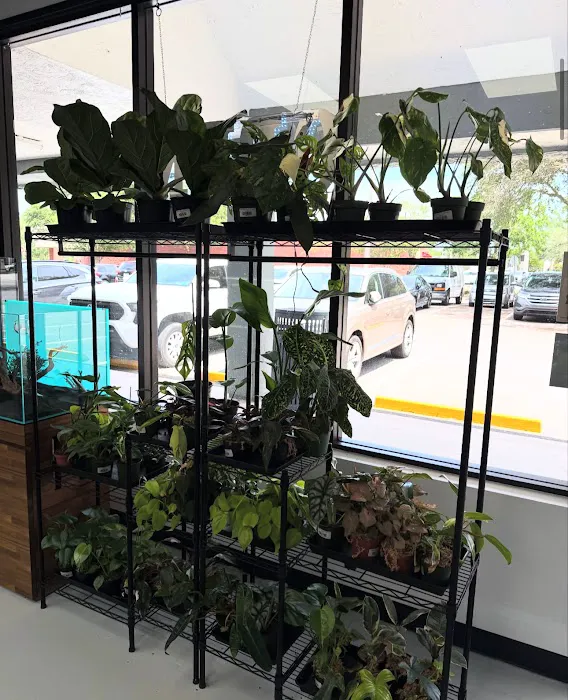 Natural Environment Aquatix Picture 9