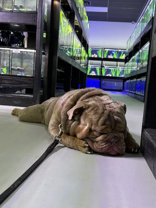 Natural Environment Aquatix Picture 8