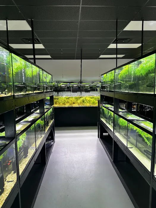 Natural Environment Aquatix Picture 10