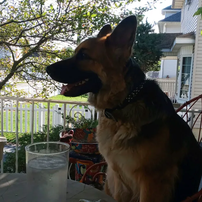 Countryside Animal Hospital Picture 3