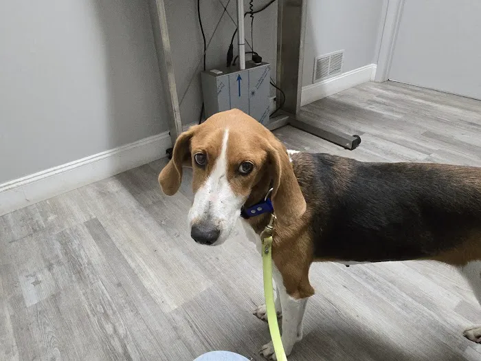 Countryside Animal Hospital Picture 6