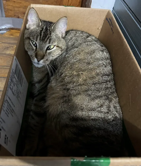 Countryside Animal Hospital Picture 5