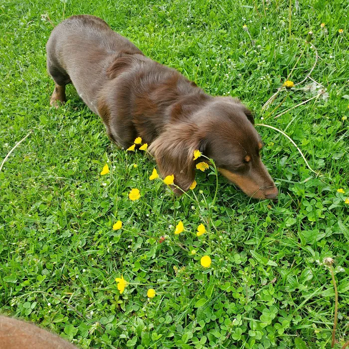 Countryside Animal Hospital Picture 9