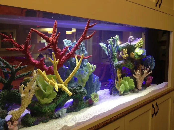 CGI Aquatic Care Picture 1