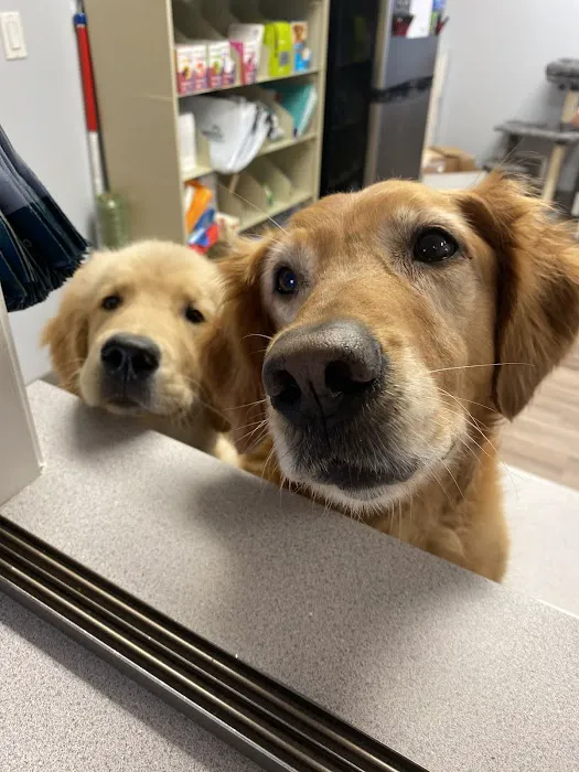 Fallbrook Veterinary Clinic Picture 1