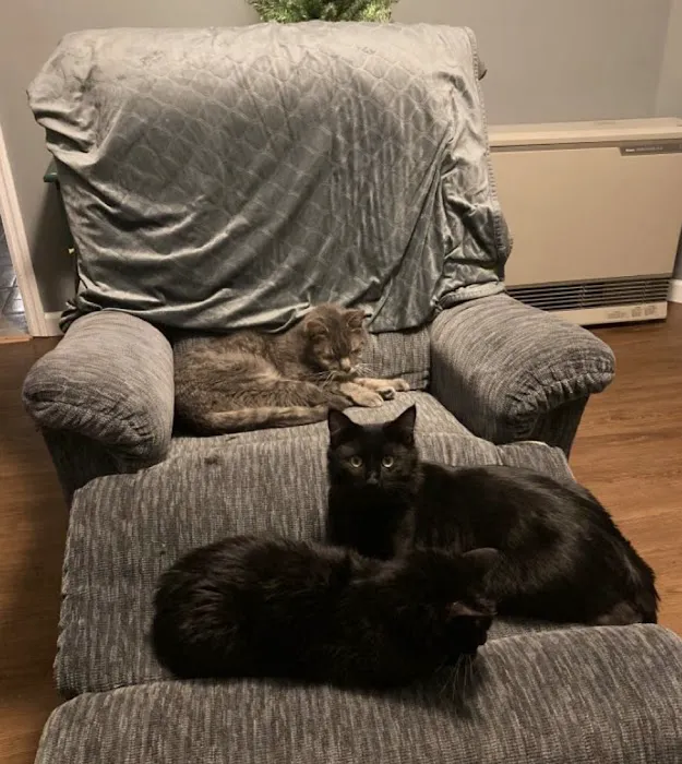 Fallbrook Veterinary Clinic Picture 6