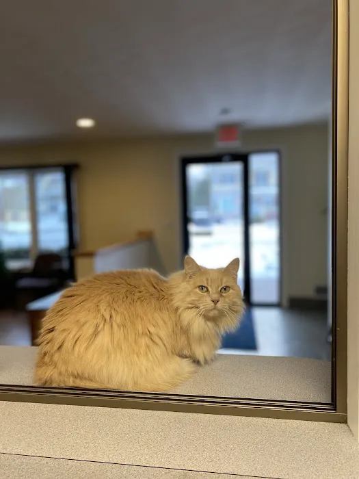 Fallbrook Veterinary Clinic Picture 3