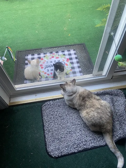 Fallbrook Veterinary Clinic Picture 8