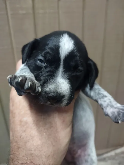 Fallbrook Veterinary Clinic Picture 10