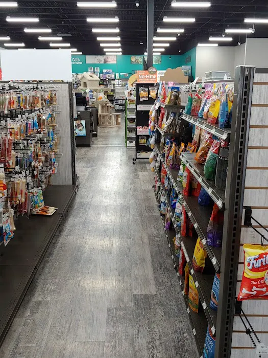 Pet Supermarket Picture 5
