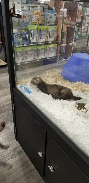 Pet Supermarket Picture 7