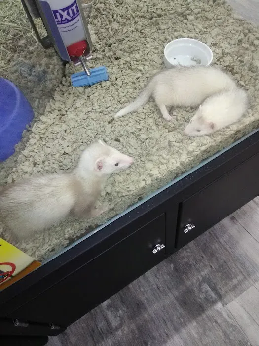 Pet Supermarket Picture 10