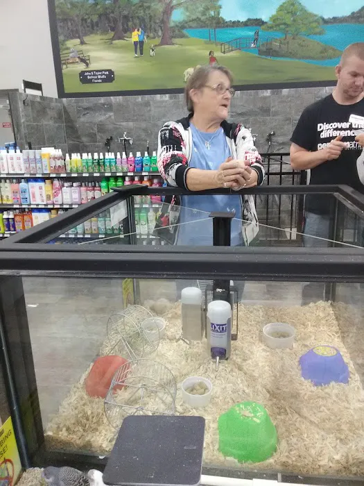 Pet Supermarket Picture 9