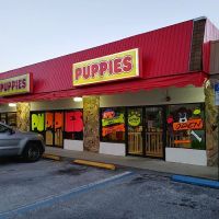 Puppies St Pete ico
