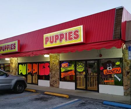 Puppies St Pete