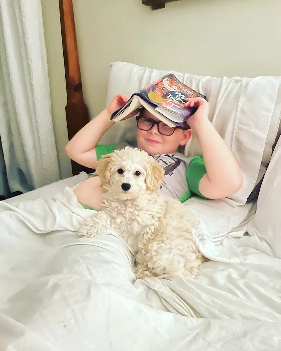 Puppies St Pete Picture 8