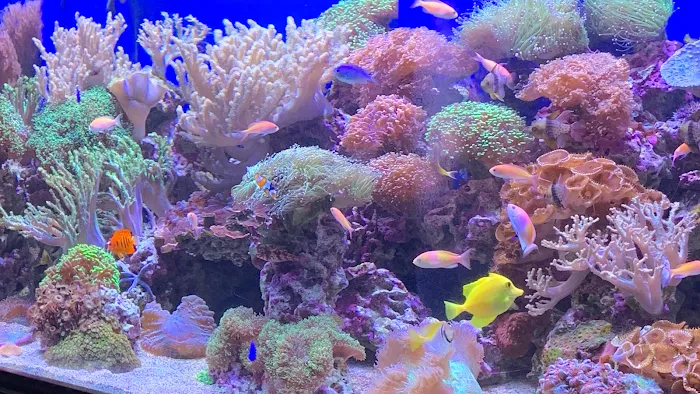 Aquarium Quest Picture 3