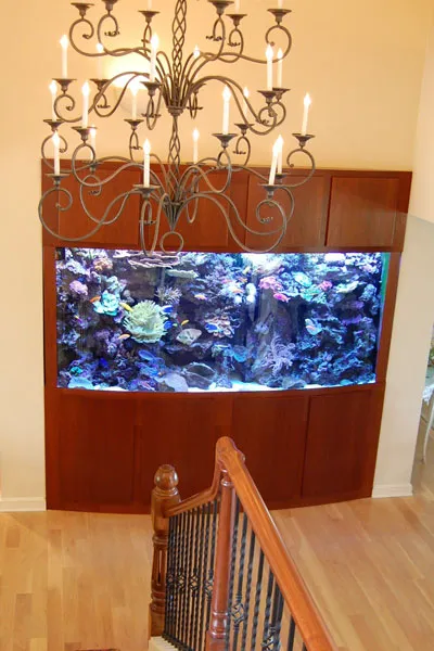 Aquarium Quest Picture 6