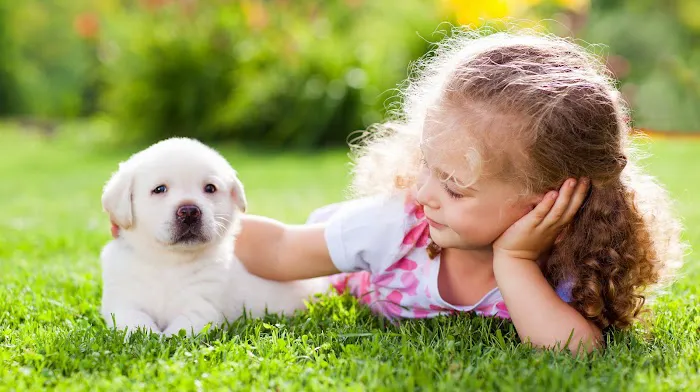 Petland Largo Picture 1