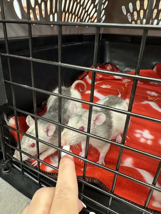 Petland Largo Picture 10