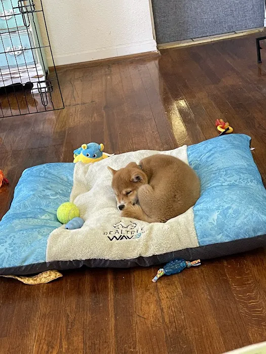 Petland Largo Picture 7