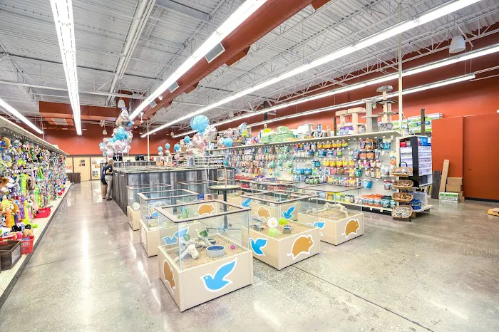 Petland Largo Picture 9