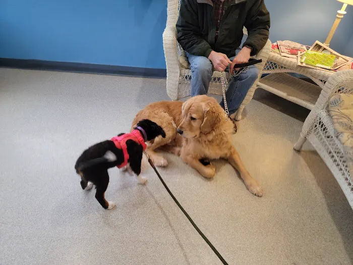 Youngsville Veterinary Clinic Picture 2