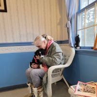 Youngsville Veterinary Clinic ico