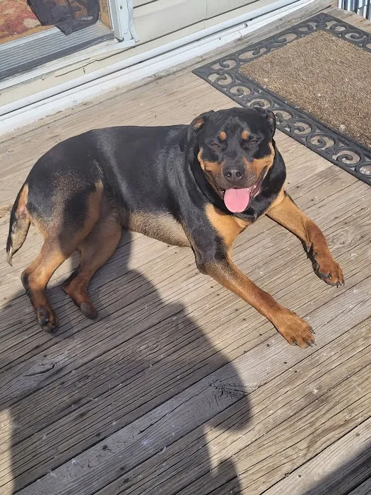 Youngsville Veterinary Clinic Picture 4