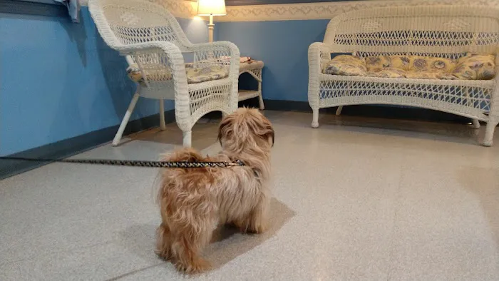 Youngsville Veterinary Clinic Picture 8