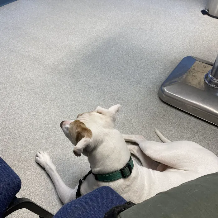 Youngsville Veterinary Clinic Picture 9