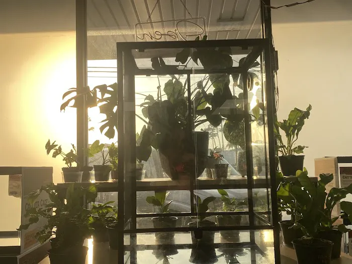 Indigo Reptile Co. Picture 3