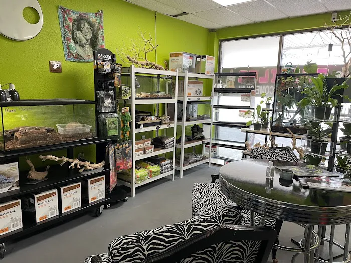 Indigo Reptile Co. Picture 2