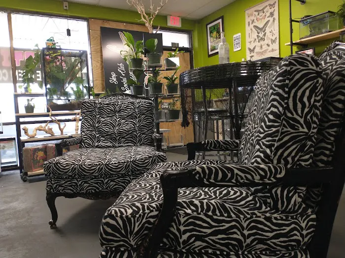 Indigo Reptile Co. Picture 7