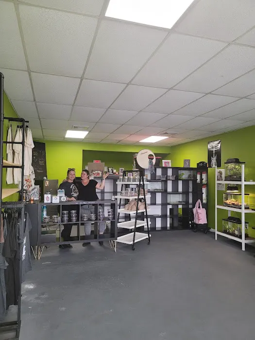 Indigo Reptile Co. Picture 9