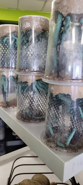 Indigo Reptile Co. Picture 10