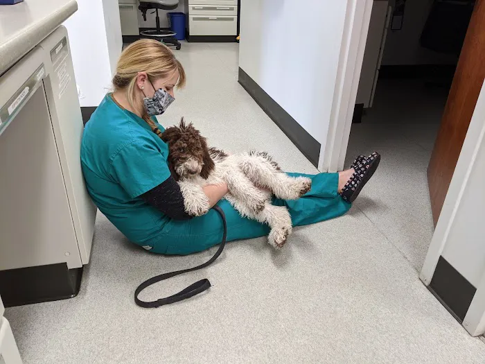 Bridge Veterinary Hospital Picture 1