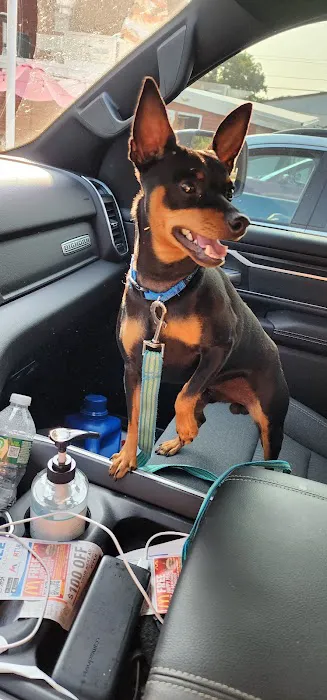 Bridge Veterinary Hospital Picture 3