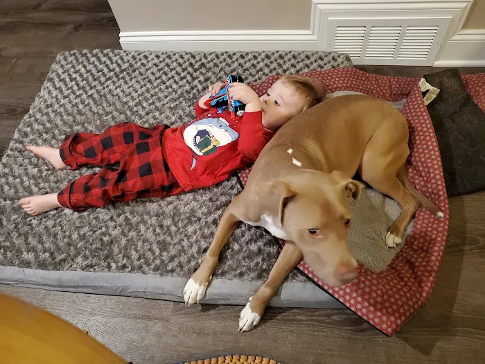 Bridge Veterinary Hospital Picture 2