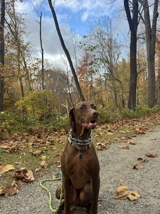 Bridge Veterinary Hospital Picture 6