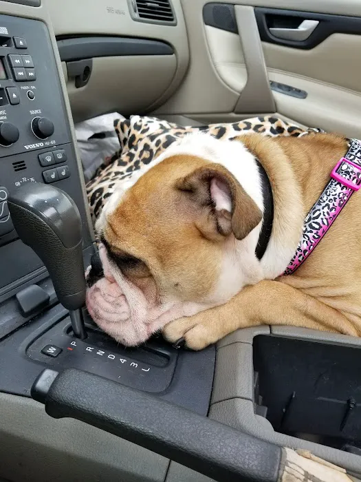 Bridge Veterinary Hospital Picture 9