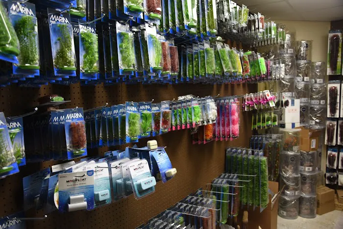 Fish Tanks Direct Picture 2