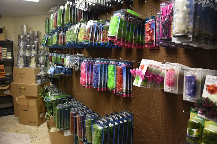 Fish Tanks Direct Picture 6