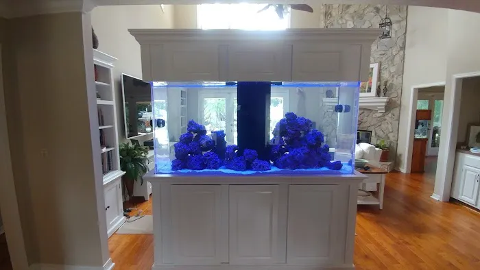 Fish Tanks Direct Picture 5